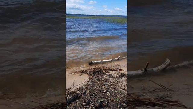 База отдыха Рыбачий берег в Ленинградской области. смотреть онлайн