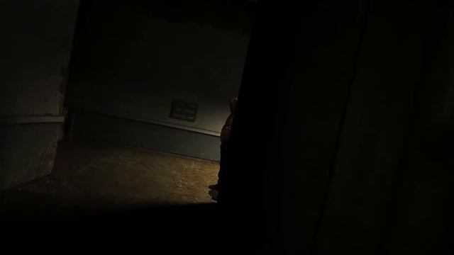 Outlast: сюжет+DLS