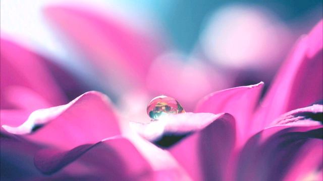 "Василиса прекрасная" смотреть онлайн