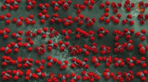 Как образуются кристаллы