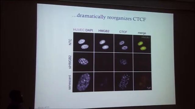 IMBB SEMINAR - Argyris PAPANTONIS, January 29th 2018 @ 12:00 смотреть онлайн