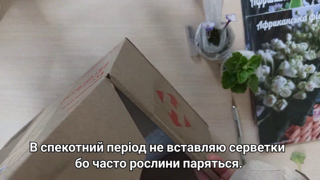 Не забрали посилку з фіалками 07.08-13.08 якими я їх отримала? смотреть онлайн