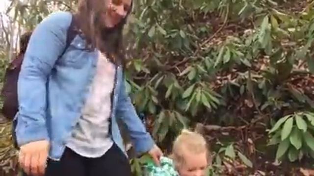 Rhododendron Song смотреть онлайн