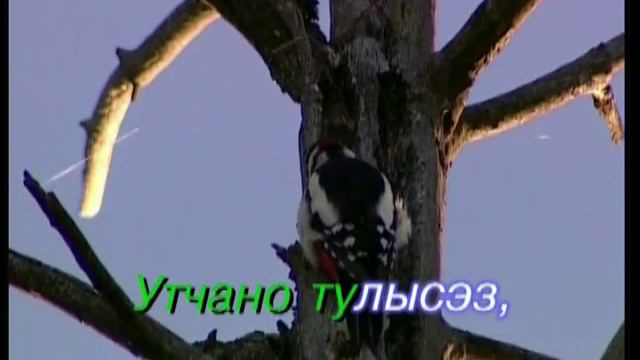 УДМУРТ КАРАОКЕ ( II ). Адями кырӟа смотреть онлайн