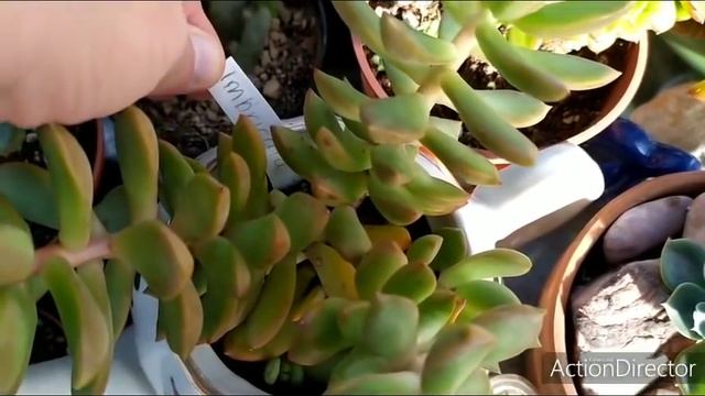 мега ОБЗОР беседки??#1. смотреть онлайн