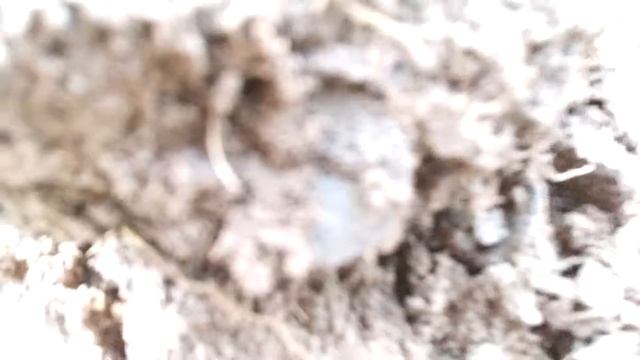 Поиск монет.... 5 копеек 1815 и 1833 года смотреть онлайн