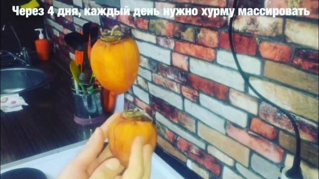 Сушеная Хурма / Сушим Хурму Быстро и Просто / Irinochka HandMade