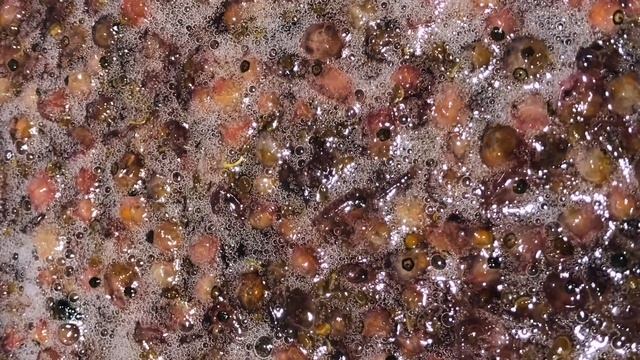 Фотосессии и Моделирование