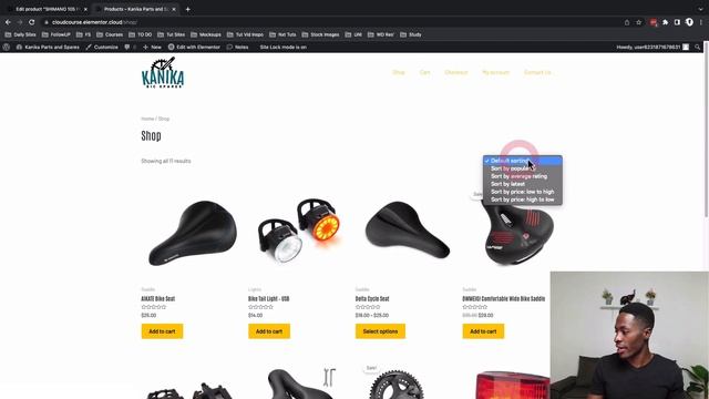 Getting started: Site Settings and Design System for Elementor WooCommerce Shop смотреть онлайн