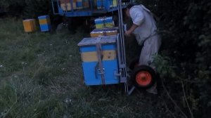 Кочевая пасека, крепление ульев, перевозка пчел.