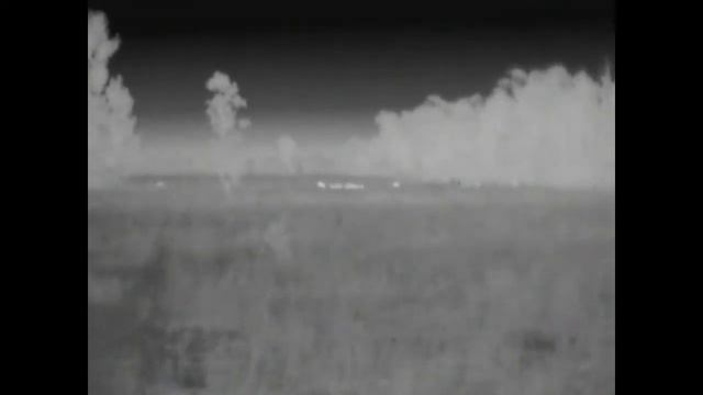 Pulsar Quantum HD19S Thermal field test смотреть онлайн