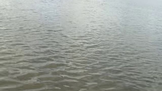 Карп 4.460 - подсак флагман=) смотреть онлайн