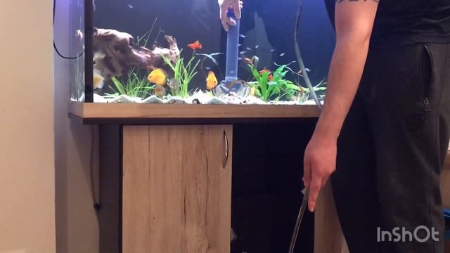 ТОП - 4 лайфхака для аквариумиста!! смотреть онлайн