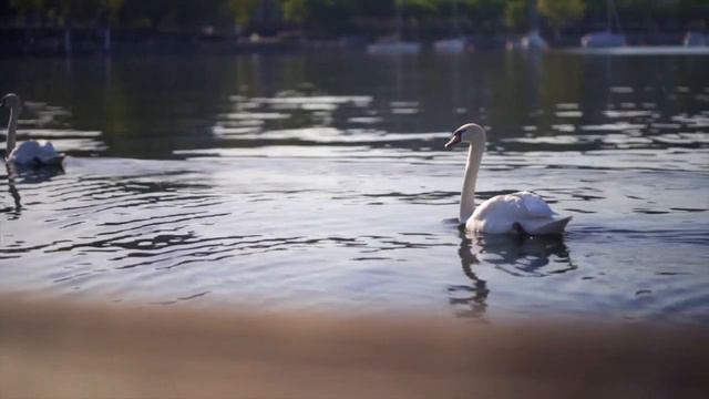 Матерь Вселенной смотреть онлайн