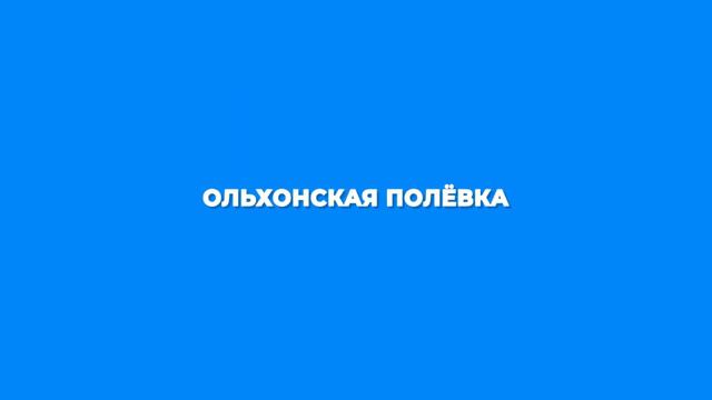 Ольхонские полёвки, пожарный спас котёнка и необычные наклейки на улицах Улан-Удэ. смотреть онлайн