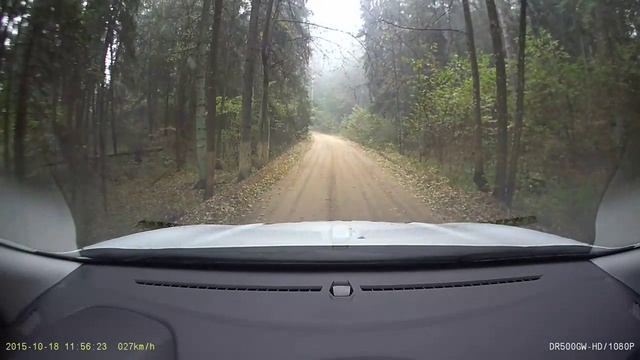 Погоня в лесу смотреть онлайн