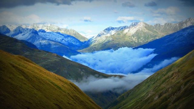 мои видео смотреть онлайн