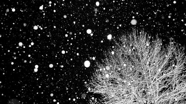 Free Beat Нова годний биток смотреть онлайн