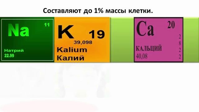 Химический состав клетки | Биология 5 класс #6 | Инфоурок смотреть онлайн