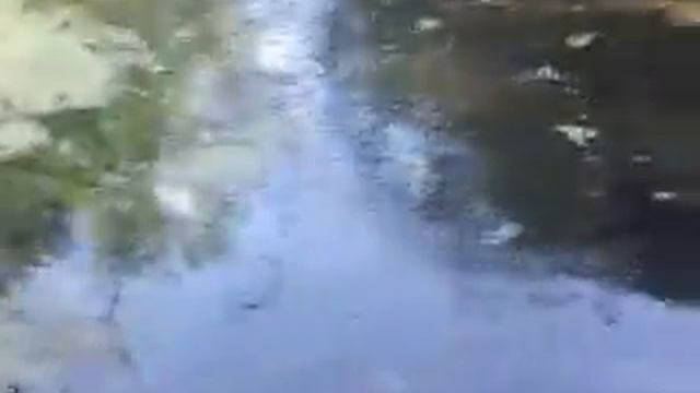 Сокулукский водолаз смотреть онлайн