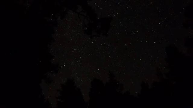 Forest Star Field смотреть онлайн