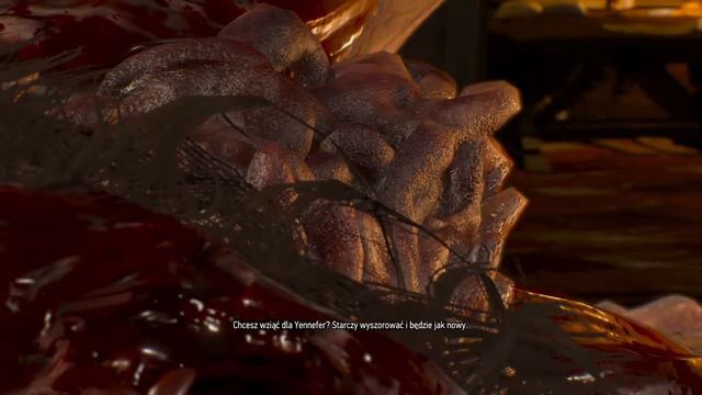 Wiedźmin 3 Dziki Gon – Eskel sekcja Katakana смотреть онлайн