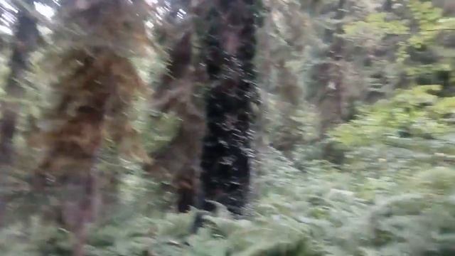 поход на Малую Рицу, Абхазия смотреть онлайн