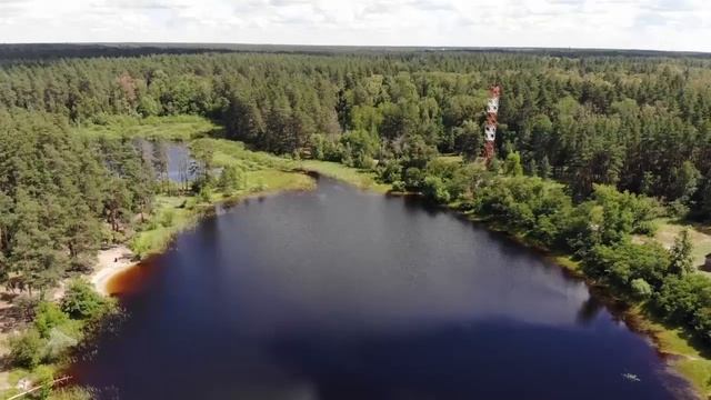 Воронежский биосферный заповедник с высоты птичьего полета