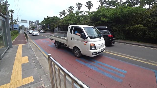 Jeju island. South Korea. Спасение утят. Южная Корея остров Чеджу.Часть V смотреть онлайн