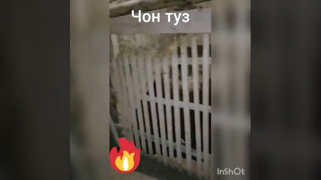 Чон туз смотреть онлайн