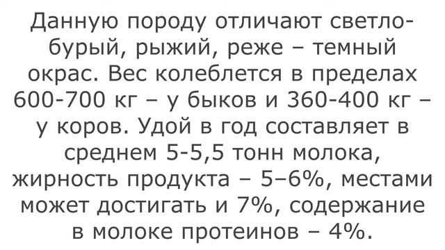 Лучшие молочные породы коров смотреть онлайн
