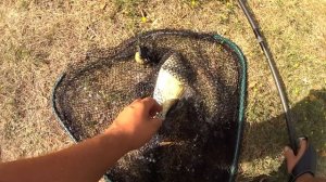 Пруд Бычки Курская область. Готовим шурпу