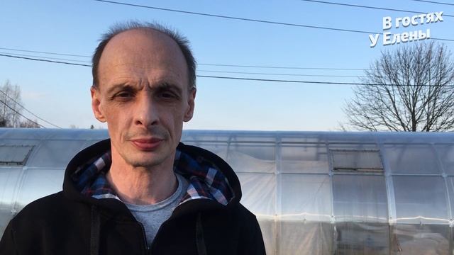 Искореняющая обработка сада. Обработка плодового сада от болезней и вредителей смотреть онлайн