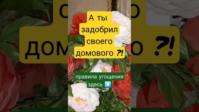 Как задобрить домового #shorts #сущность смотреть онлайн