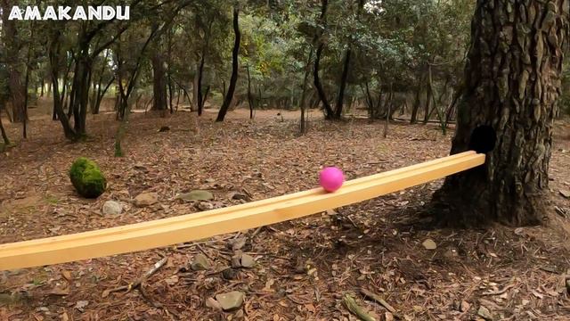 Magic Marble Run Trick ASMR  Enchanted Magic Forest Volumen1