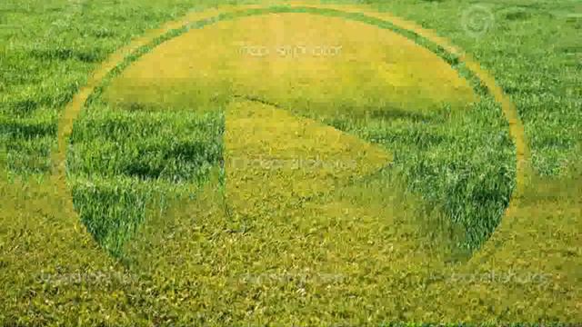 Green Grass Field - Pictures - Amber Deristy смотреть онлайн