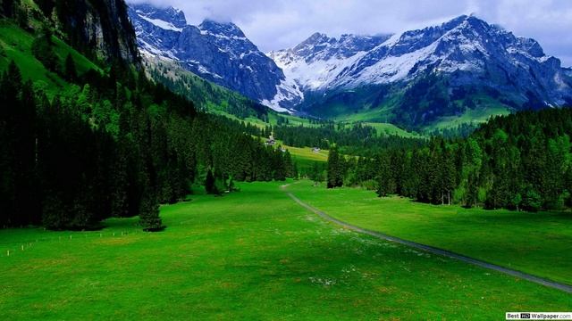 Медитация "Внутренняя улыбка" с Иреной Вайсруб смотреть онлайн