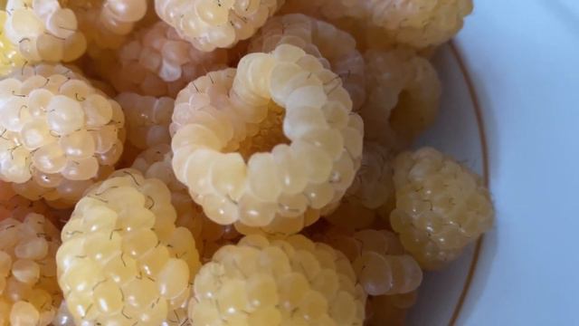 Intriguing Insights Into The Lives Of Renowned Personalities