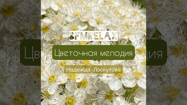Цветочная мелодия (BFMrelax, Надежда Лоскутова, Ambient,...