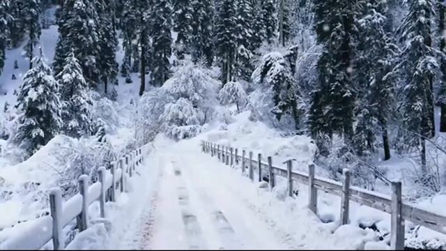 "Зачем придумана любовь..." Сергей Грищук смотреть онлайн