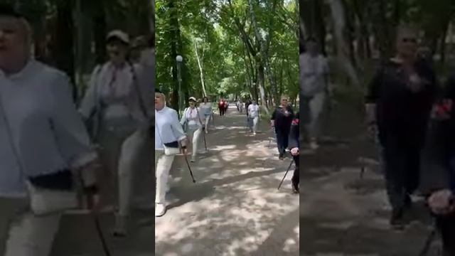 ДЕНЬ ВИШИВАНКИ ХОДЬБА