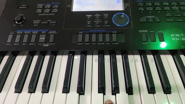 बन जाओ संगीत कलाकार | मेमोरी कार्ड से रिदम डाउनलोड करना सीखे | Casio WK-6600 Indian Rhtyms & Tones смотреть онлайн