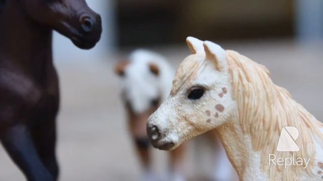 Schleich Canon EOS 1200D