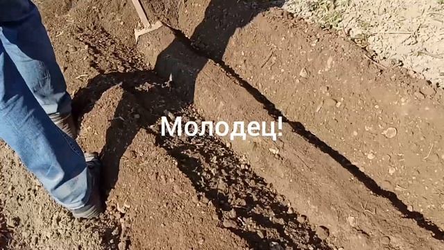 Огород по Митлайдеру смотреть онлайн