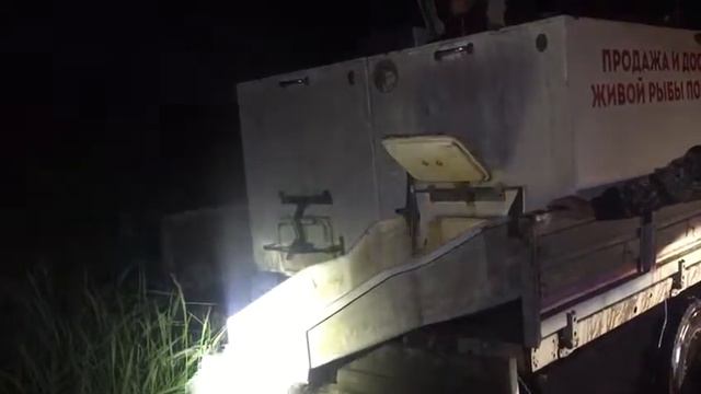 Зарыбление 1,5 тонны карпа на водоеме Рыбалка Удача смотреть онлайн