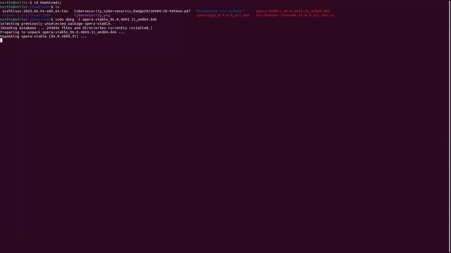 How to download and install Opera Browser on Linux. (Kali, Ubuntu, Etc.) смотреть онлайн