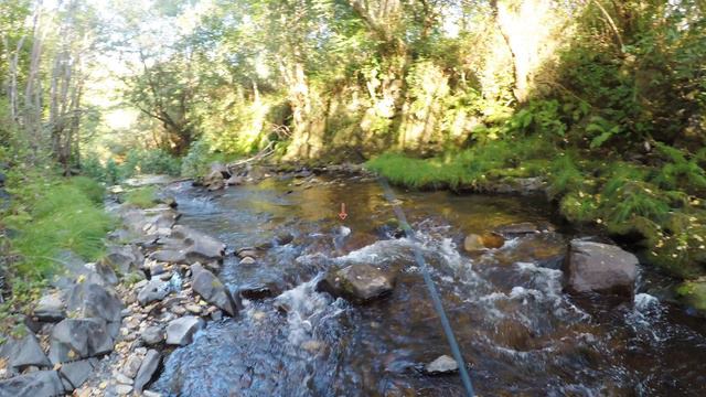 Truchas en rio de alta montaña , pesca a mosca con buldo смотреть онлайн