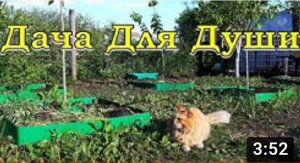 Ограждение деревьев БОРДЮРНОЙ ЛЕНТОЙ. Красота с пользой???