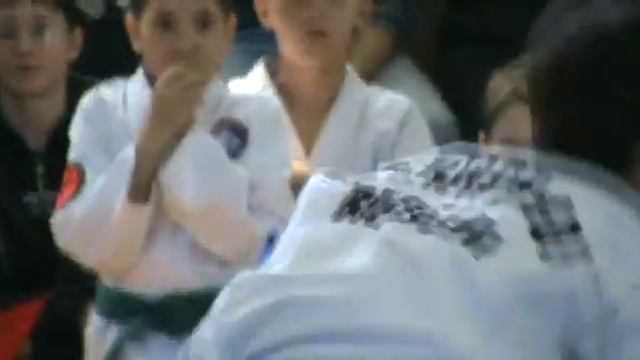 Всестилевая Федерация Тэквон-До (ИТФ,ГТФ,АТФ) РБ смотреть онлайн