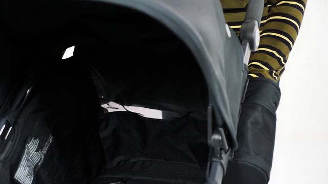 UPPAbaby Ridge Review